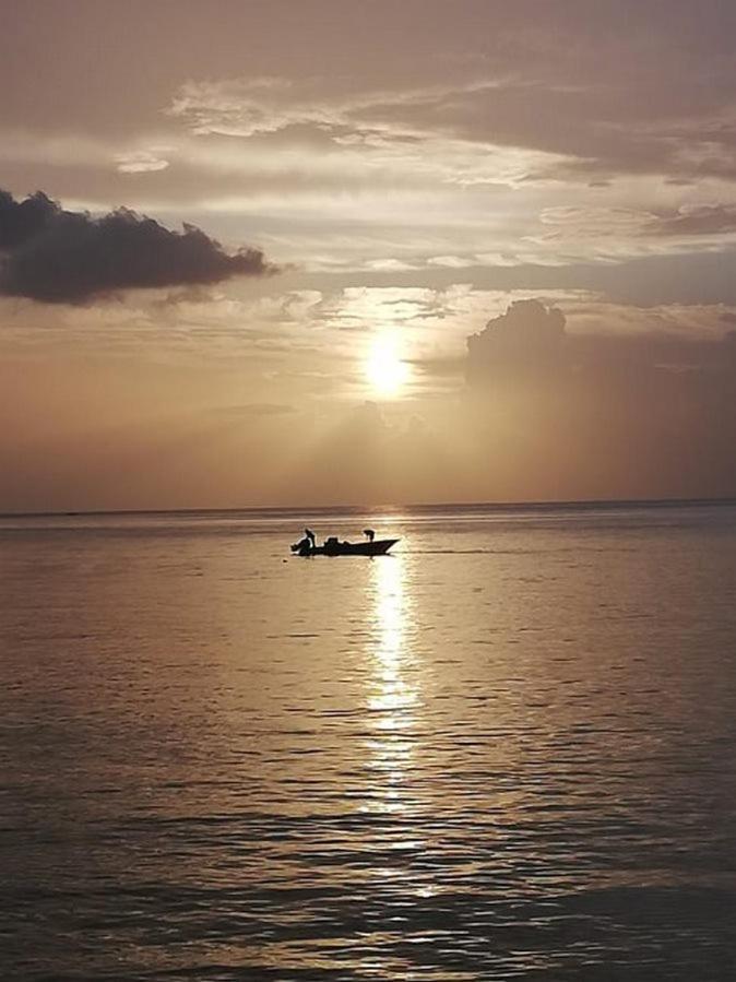 Gites Les Lodges Des Hauts De Deshaies Bungalow Barbade Luaran gambar